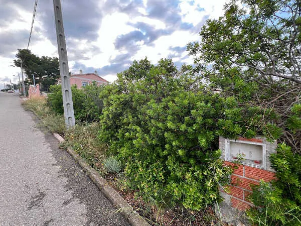 Finca rústica de 0,0452 ha en venta en Bisbal del Penedès, La, Tarragona