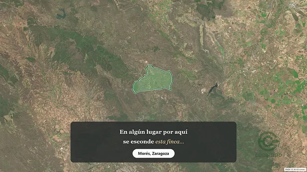 Spot image