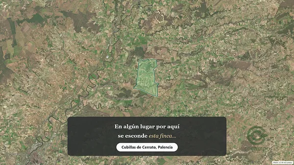 Spot image