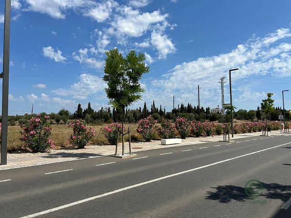 Finca rústica de 1,0938 ha en venta en Aldea, L', Tarragona