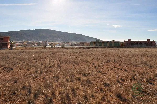 Spot image