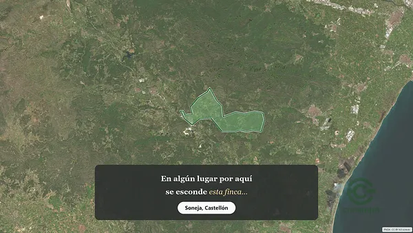 Spot image