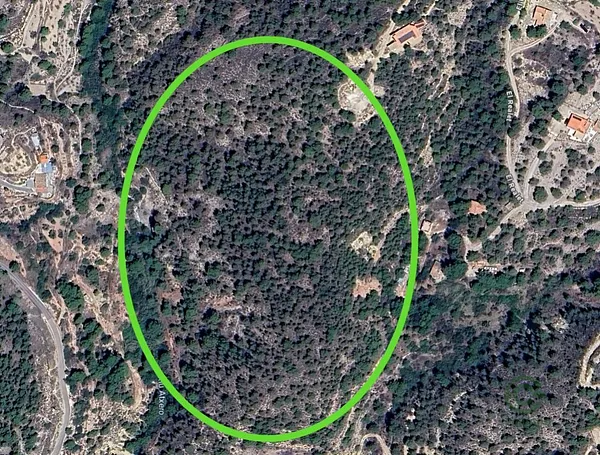 Spot image