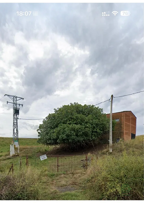 Spot image