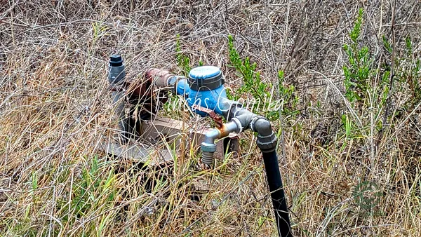 Spot image