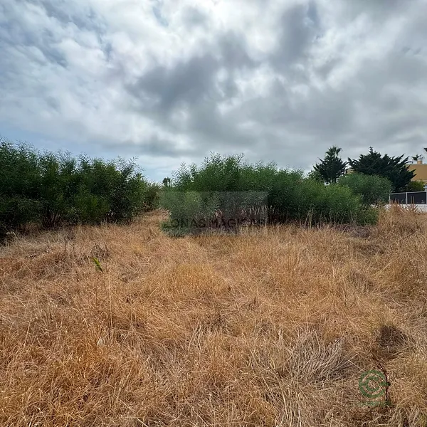 Spot image
