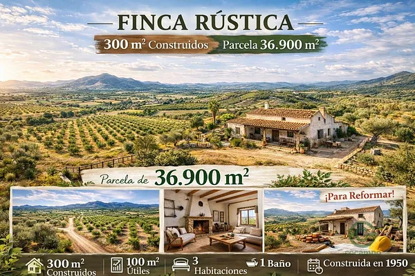Finca rústica de 3,69 ha en alquiler en Murcia, Murcia