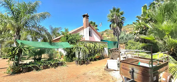 Spot image