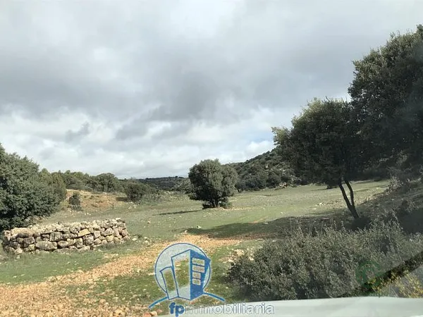 Spot image