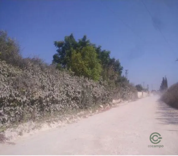 Finca rústica de 0,1102 ha en venta en Alcala de guadaira, Sevilla