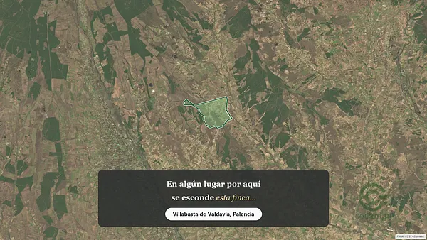 Spot image