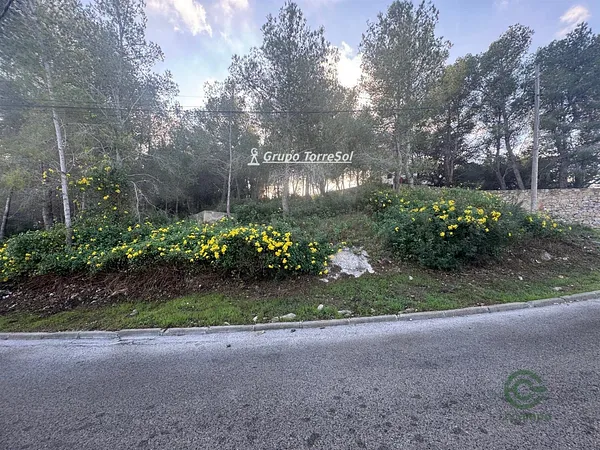 Spot image