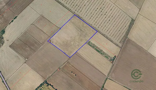 Spot image