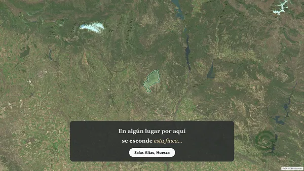 Spot image