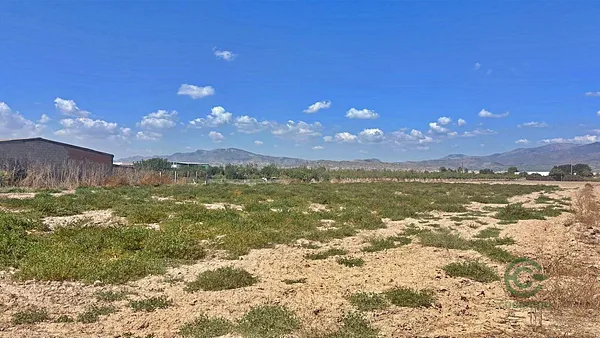 Spot image