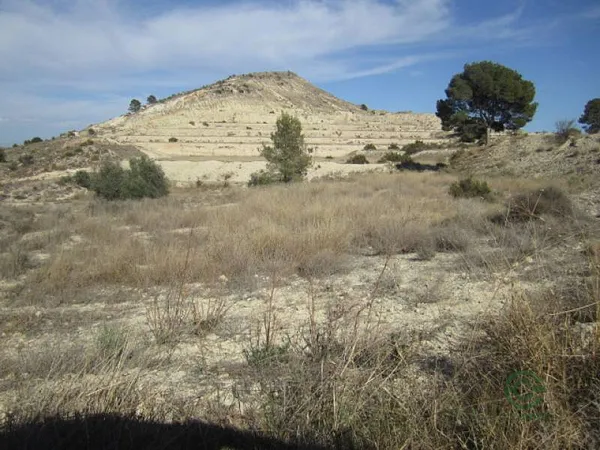Spot image