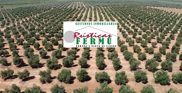 Finca agrícola de 250 ha en venta en Córdoba