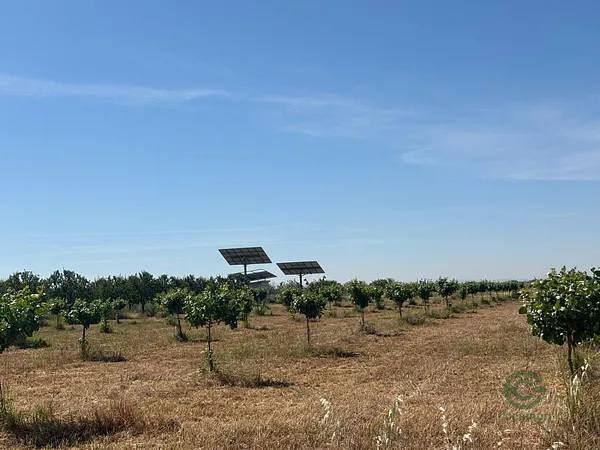 Finca agrícola de 17 ha en venta en Malagón, Ciudad Real