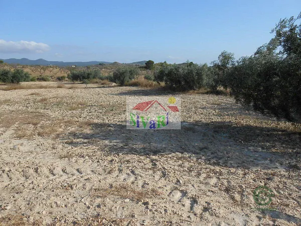 Finca agrícola de 2,9 ha en venta en Cieza, Murcia