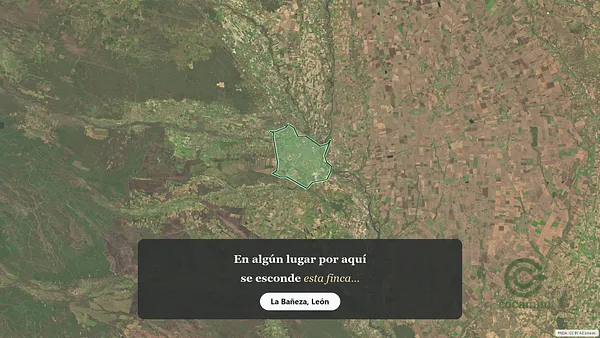 Spot image