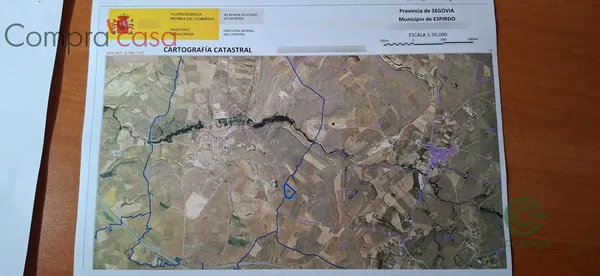 Spot image