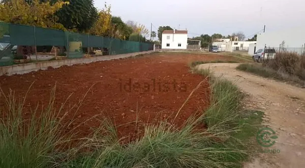 Spot image