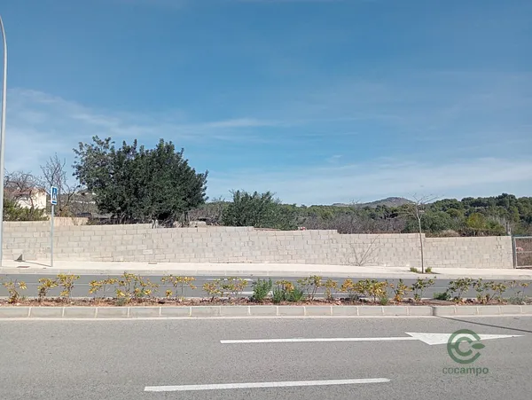 Spot image
