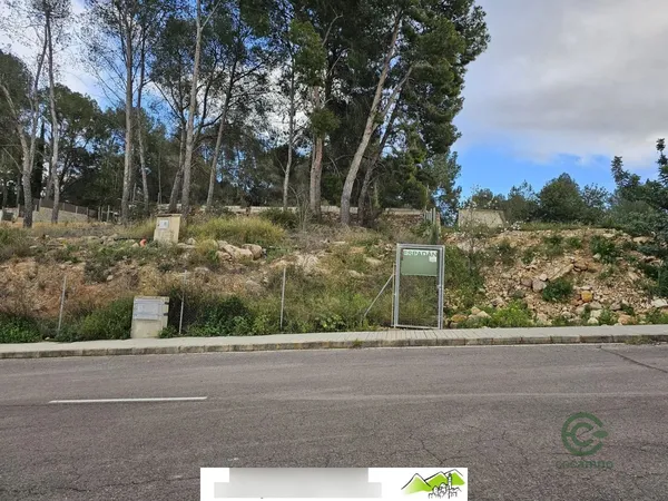 Spot image
