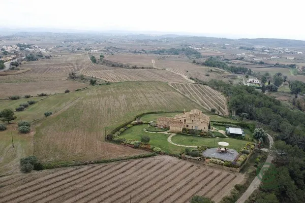 Spot image