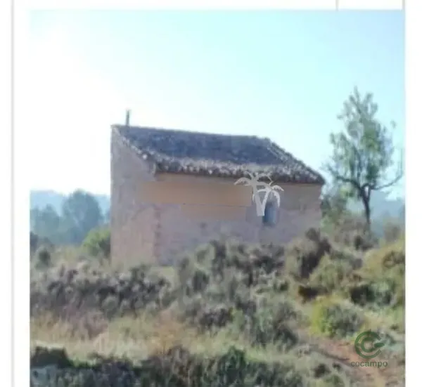 Spot image