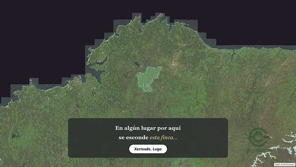 Spot image