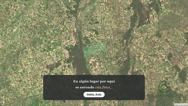 Spot image