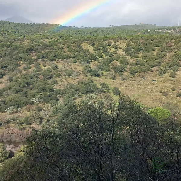 Finca rústica de 93,2 ha en venta en Madrid