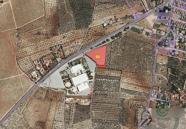 Spot image