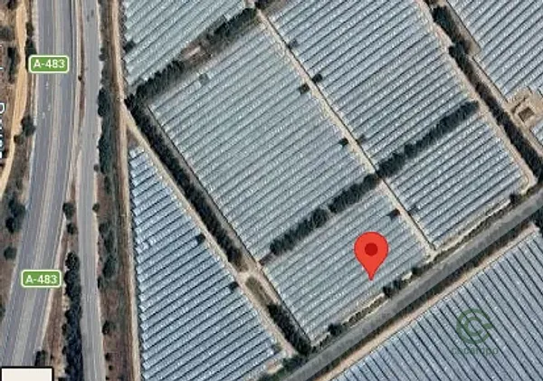 Spot image