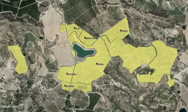 Spot image