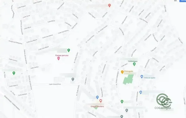 Spot image