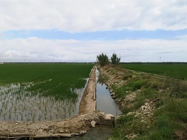 Finca rústica de 0,15 ha en venta en Valencia, Valencia