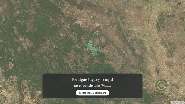 Spot image