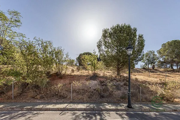 Spot image
