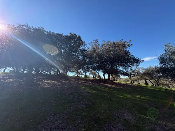 Finca rústica de 1,7 ha en venta en Badajoz
