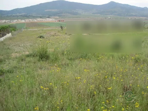 Spot image