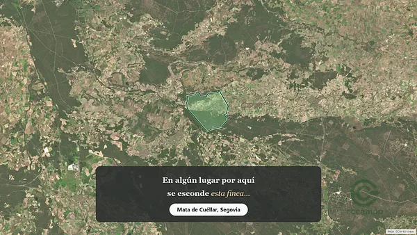 Spot image