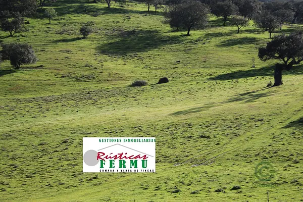 Finca rústica de 39 ha en venta en Huelva