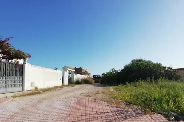 Spot image