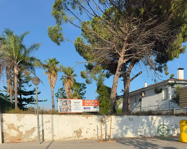 Spot image