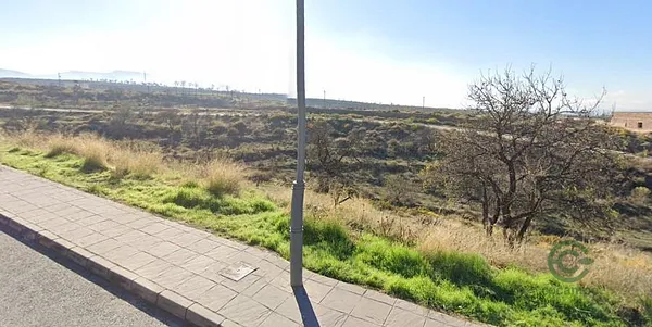 Spot image
