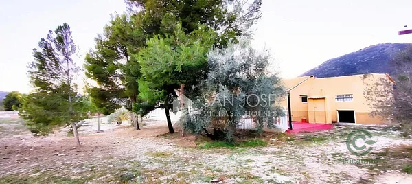 Spot image
