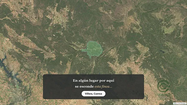 Spot image