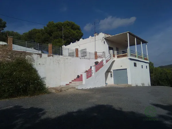 Spot image